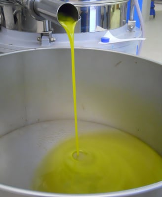 Olive Oil Extra