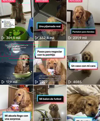 Tiktoks de la cuenta de @nilopfongcocker