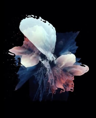 digital art, video installation,  joanna wlaszyn