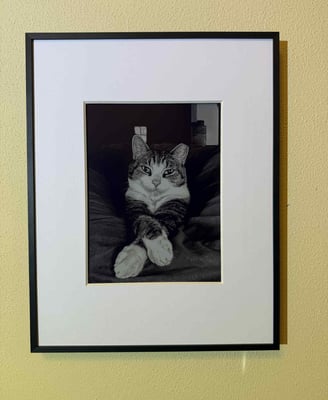 High-def blakc and white photo on Aluratek digital frame