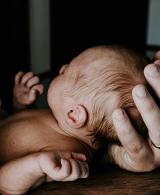a picture of a newborn baby