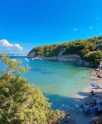 ayıbalığı koyu