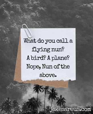 What do you call a flying nun? A bird? A plane? Nope, nun of the above.
