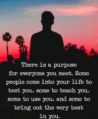 We All Have A Purpose Sometimes We Just Don't See It