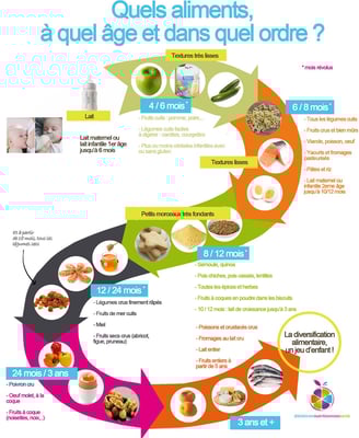 a poster with a circular diagram of a food cycle