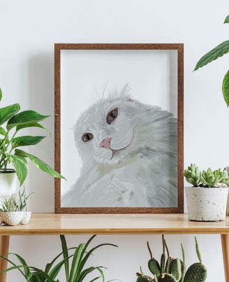 white cat portrait