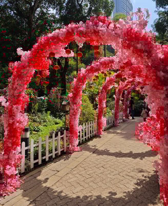 Red flowers over pathway with trees in background in Hong Kong Park