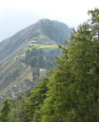 Himalaya Trekking