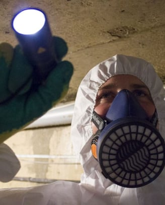 Asbestos Surveys in Manchester