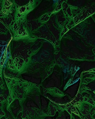 digital art, visual art, digital paintings, Joanna Wlaszyn