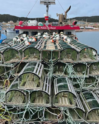 Lobster fishing