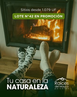 Terrenos en Concón