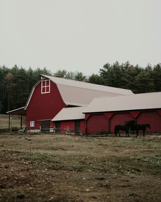 a red barn in the background