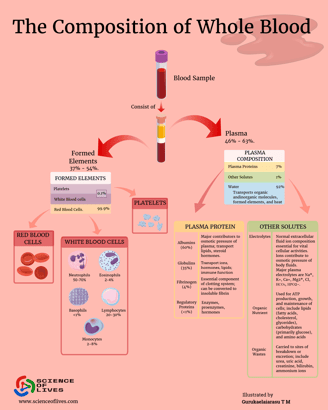 the composition of whole blood