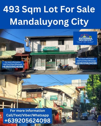 Euterra Real Estate 493 Sqm Lot for sale in Mandaluyong City