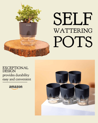 Self Watering Pots img