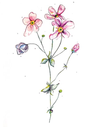 Fleurs à l'aquarelle