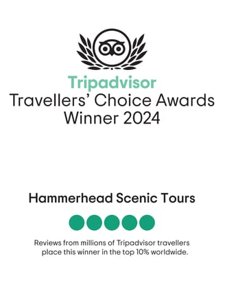 2024 TripAdvisor-Travellers'Choice Award Winner 2024