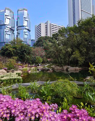 Lake and flowers in foreground with trees and skyscrapers
