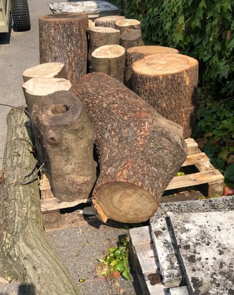 a pile of logs logs stacked on top of each other
