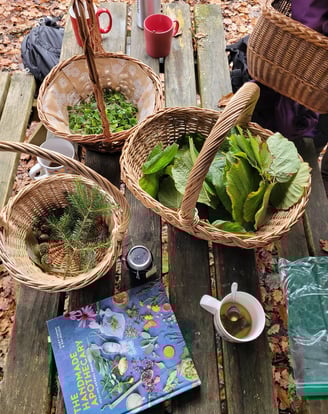 wicker baskets with foraged food