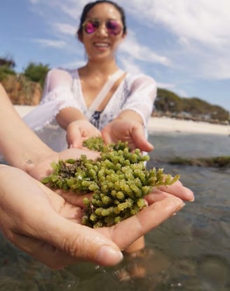 C Two people coastal foraging