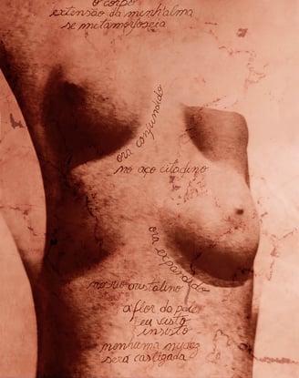 imagens de esculturas clássicas de mulheres produzidas a partir do reflexo em fragmentos de espelho