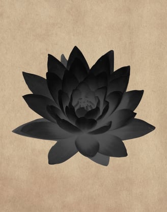 Un lotus noir sur un fond de papier parchemin