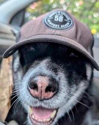 Ahsoka has her hat on ready for a grand adventure on our hike