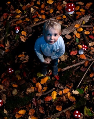 a young boy standing in a forest with mushrooms florent photographe saint omer le touquet lille pari