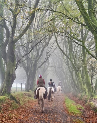 a group of people riding horses down a path