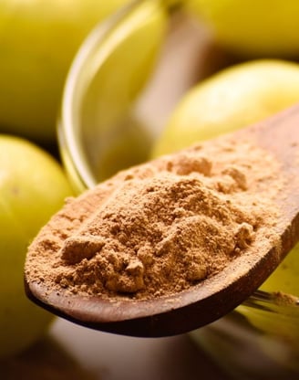 a spoon full of powdered amla powder and amla