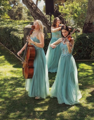 Live musicians performing at a wedding reception at Finca Santa Katerina