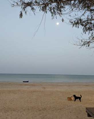 Saphli, Chumphon