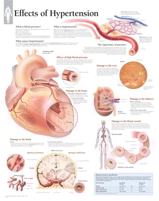 PESTICIDES SANTÉ MALADIES CARDIOVASCULAURES