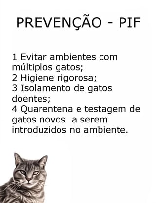 prevencao_PIF