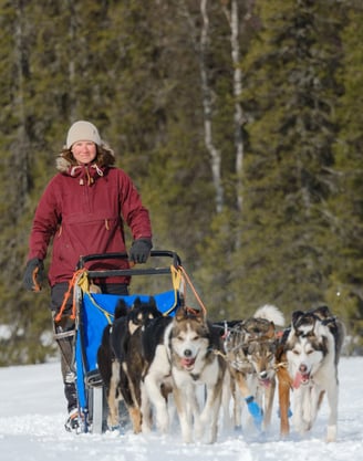 Woman dog sledding in Sweden