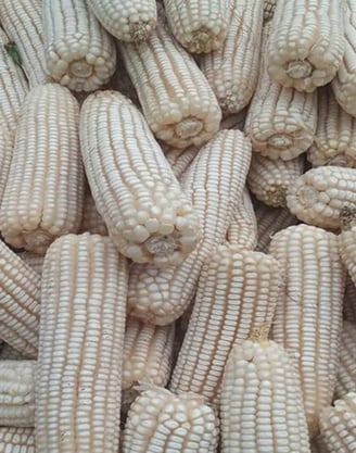GRAINS & CEREALS