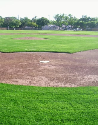 a baseball field with a baseball field and a baseball field