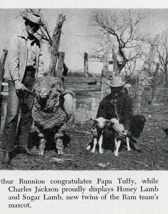 Tuffy with Honey and Sugar Lamb