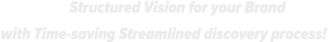 Structured Vision for your Brand with Time-saving streamlined discovery process!