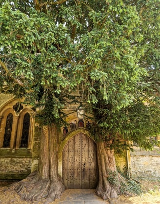 Stow-on-the-wold Cotswolds