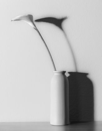 Still Life B&W