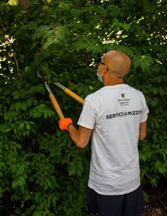 Young volunteer cutting branches.