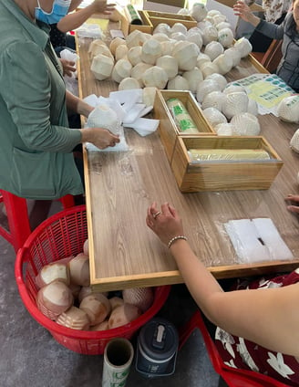 Coconut Packaging 