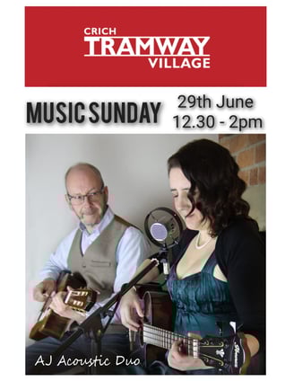 AJ Acoustic Duo Gig Performing Live Concert