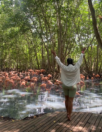 Experiencia-Aviario-Isla-Barú-Cartagena-Full-Experience