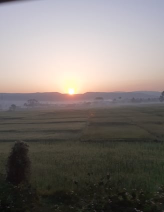 sunrise