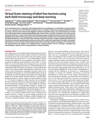  Virtual Gram staining of label- free bacteria using  dark- field microscopy and deep learning