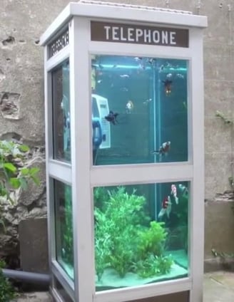Phone Booth Aquariums – Benedetto Bufalino